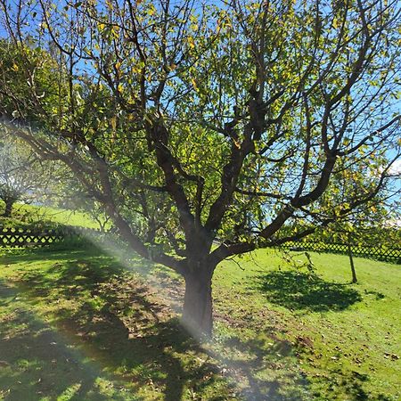 Ferienhaus Zangl Am Seggauberg - Suedsteiermark ไลบ์นิทซ์ ภายนอก รูปภาพ