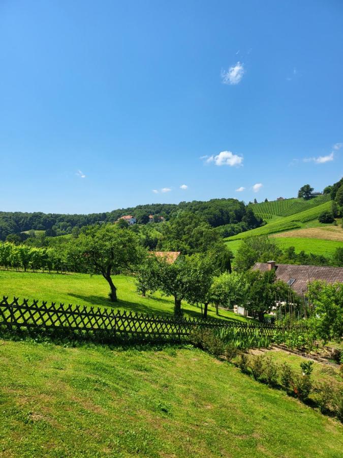 Ferienhaus Zangl Am Seggauberg - Suedsteiermark ไลบ์นิทซ์ ภายนอก รูปภาพ