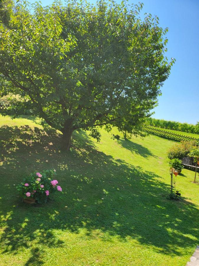 Ferienhaus Zangl Am Seggauberg - Suedsteiermark ไลบ์นิทซ์ ภายนอก รูปภาพ