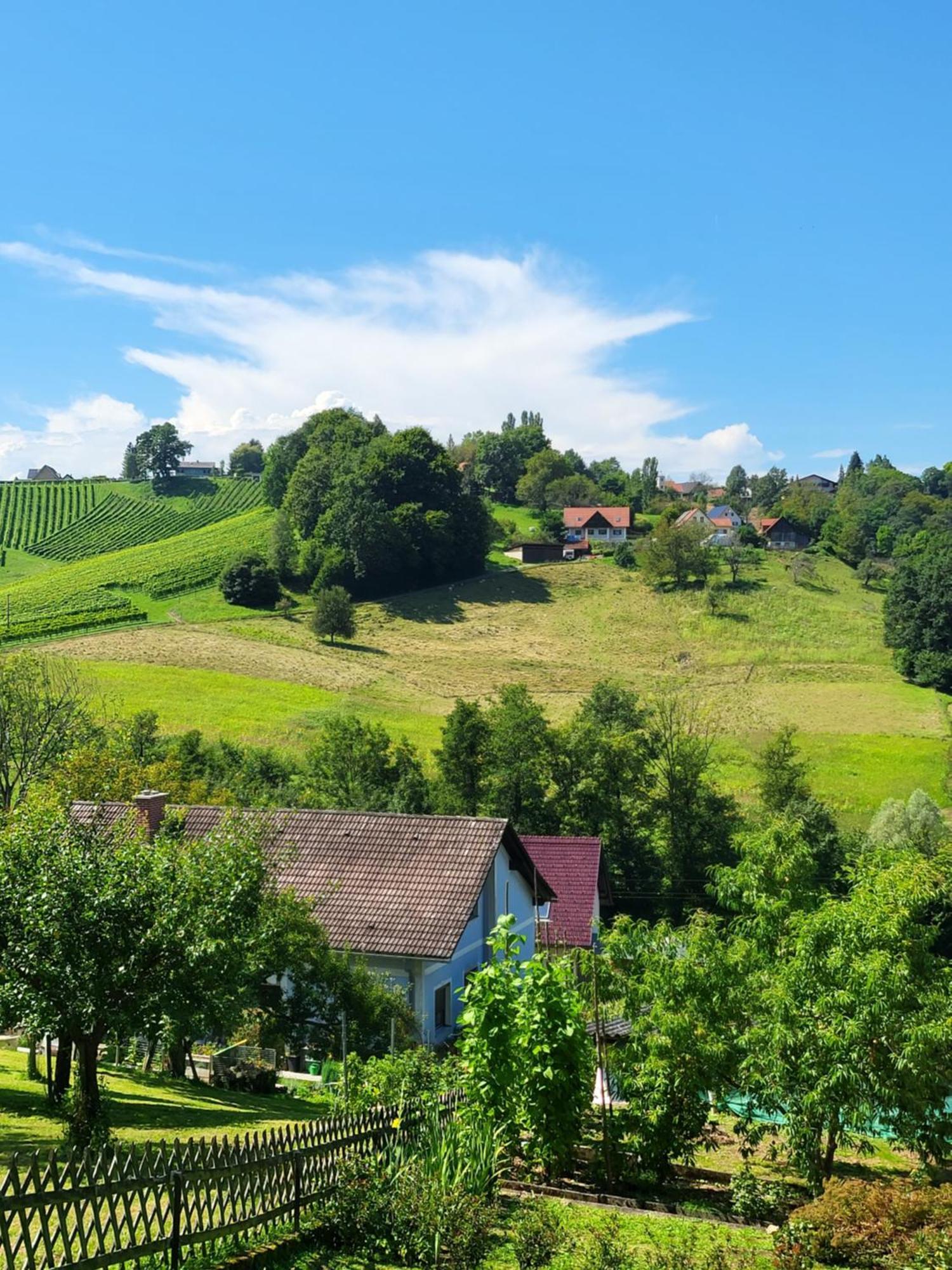 Ferienhaus Zangl Am Seggauberg - Suedsteiermark ไลบ์นิทซ์ ภายนอก รูปภาพ