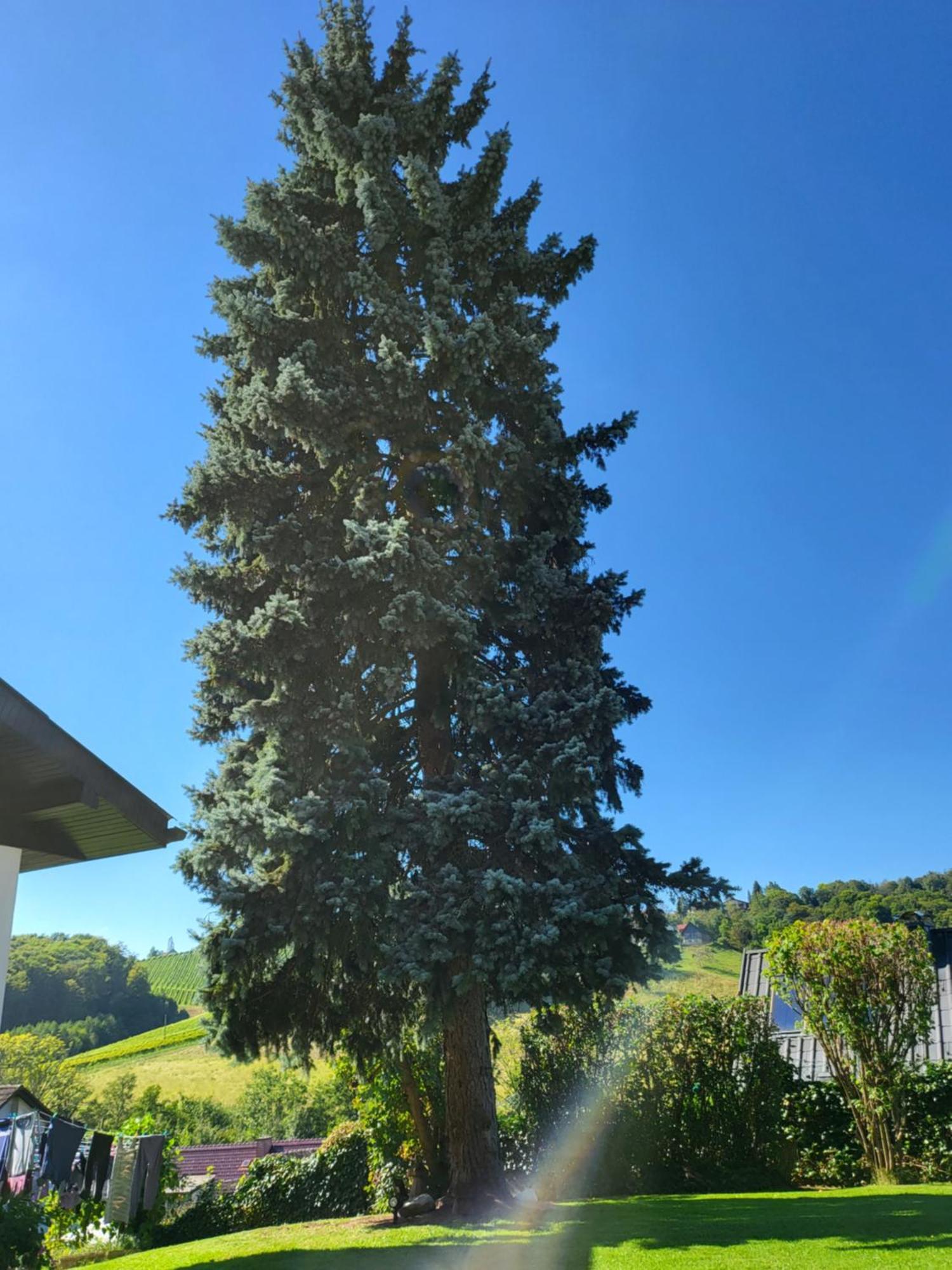 Ferienhaus Zangl Am Seggauberg - Suedsteiermark ไลบ์นิทซ์ ภายนอก รูปภาพ
