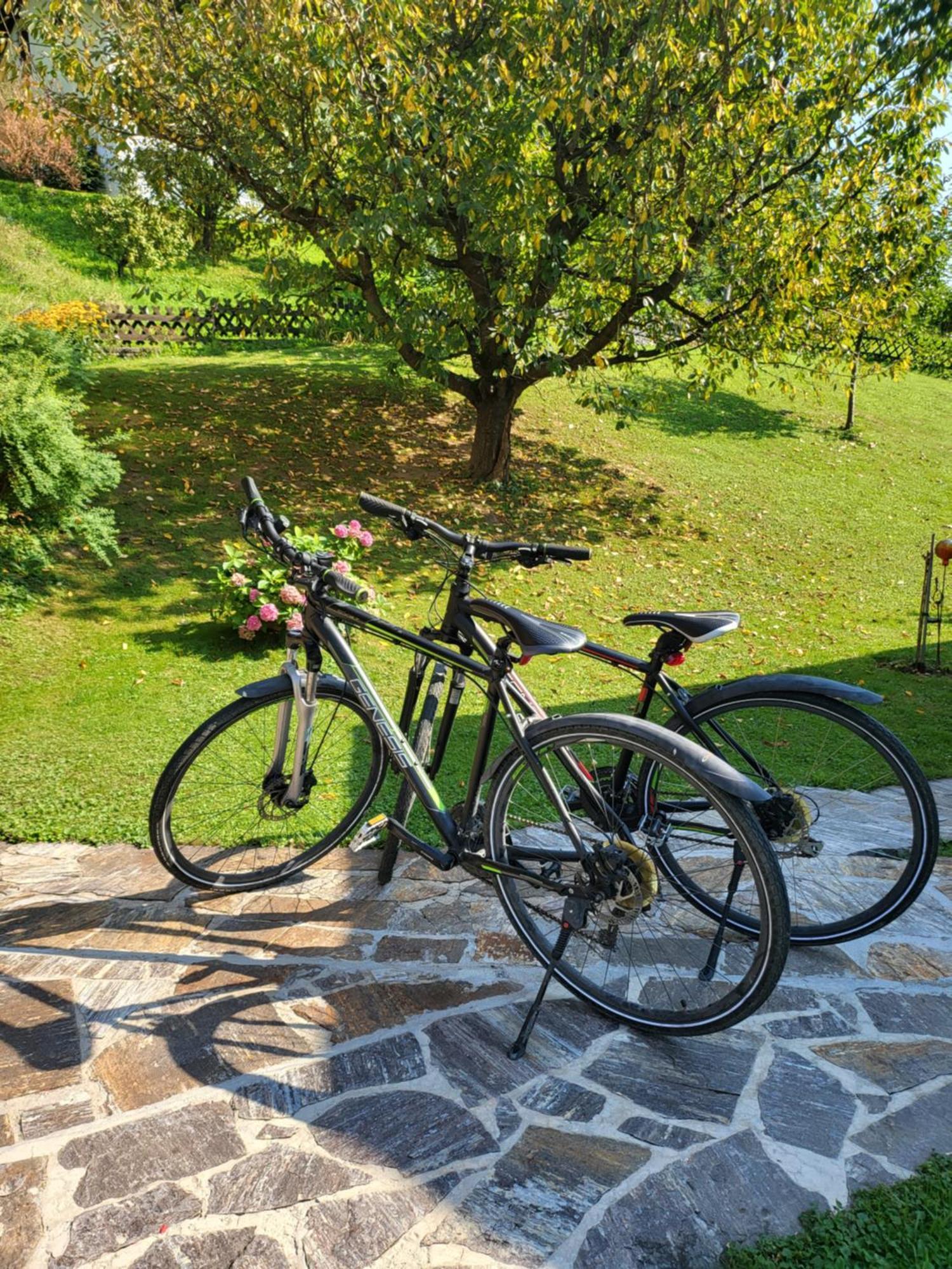 Ferienhaus Zangl Am Seggauberg - Suedsteiermark ไลบ์นิทซ์ ภายนอก รูปภาพ