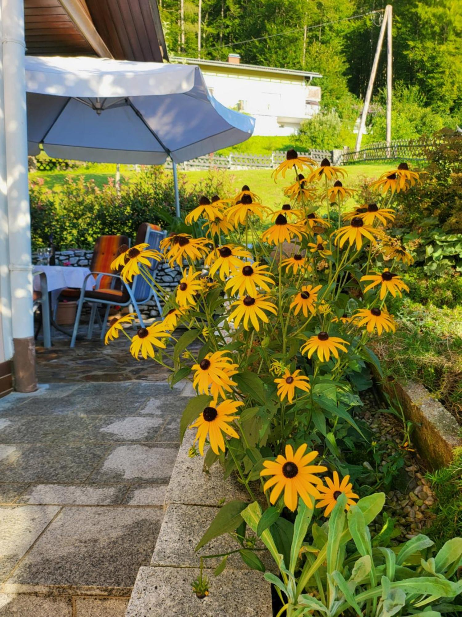 Ferienhaus Zangl Am Seggauberg - Suedsteiermark ไลบ์นิทซ์ ภายนอก รูปภาพ
